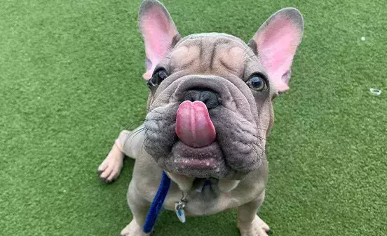 Search for news and stories