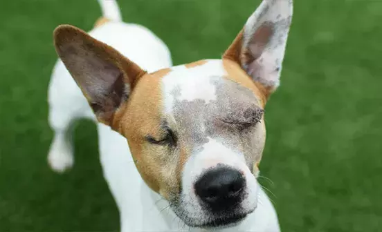 Search for news and stories