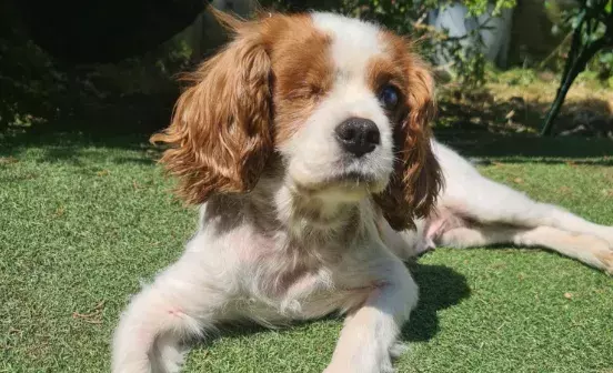 Search for news and stories