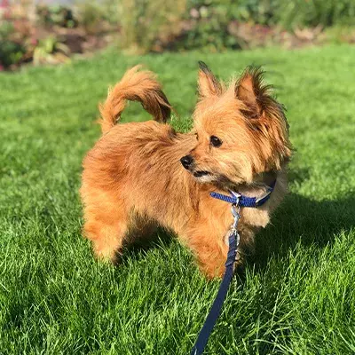 Search for news and stories