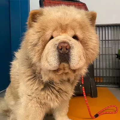 Search for news and stories