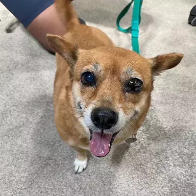 Search for news and stories