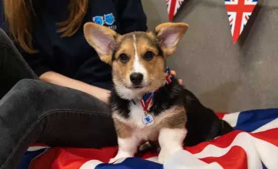 Search for news and stories