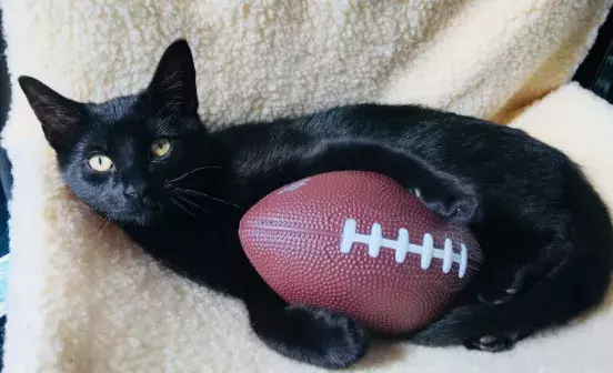 Search for news and stories