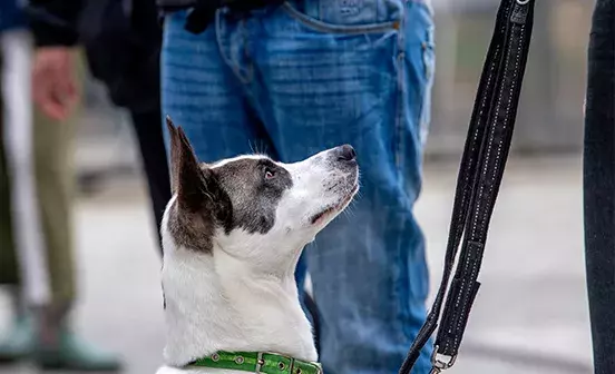 Leadership Programme