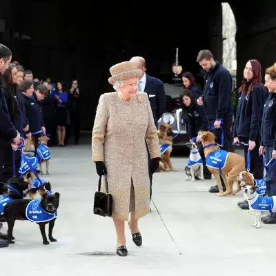 Search for news and stories