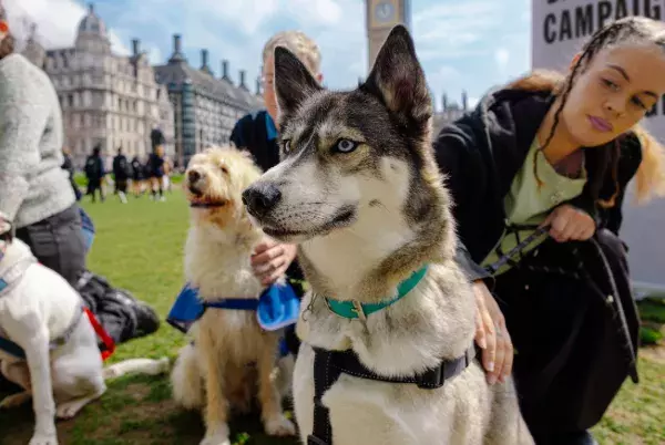 Search for news and stories