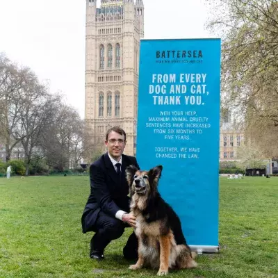 Battersea Cruelty Sentencing Campaign