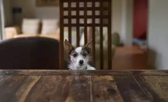 Search for news and stories