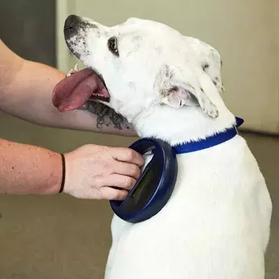 Search for news and stories