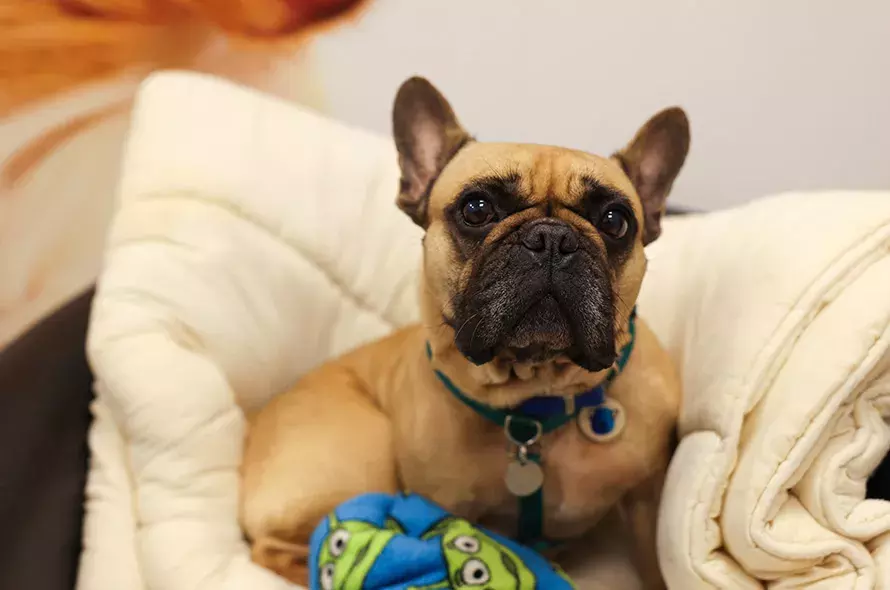 Search for news and stories