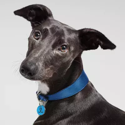 Search for news and stories