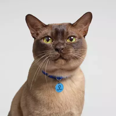 Search for news and stories