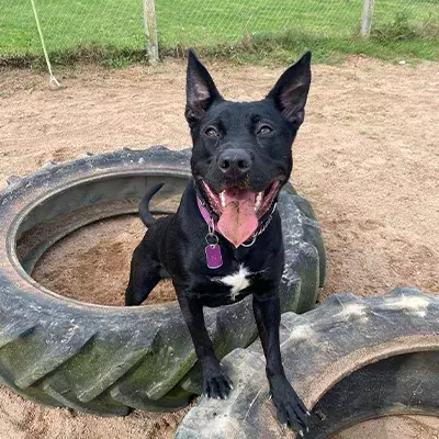 Search for news and stories