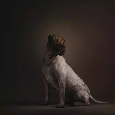 Search for news and stories