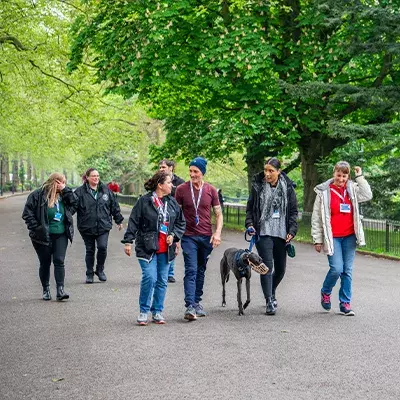 Search for news and stories