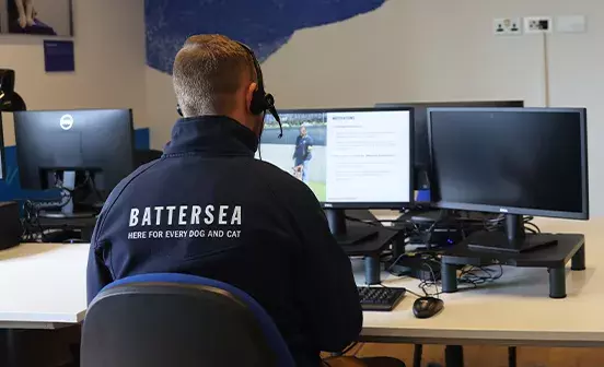 International Dog & Cat Welfare Conference