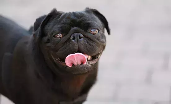 Search for news and stories