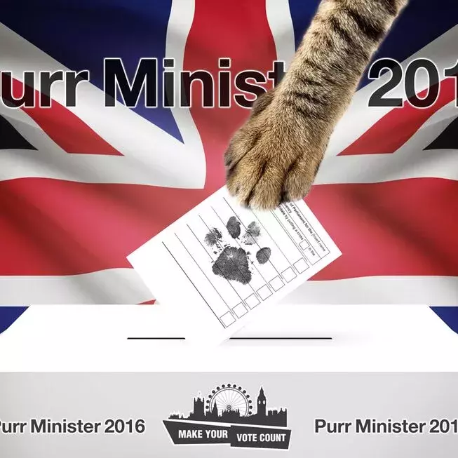 Search for news and stories