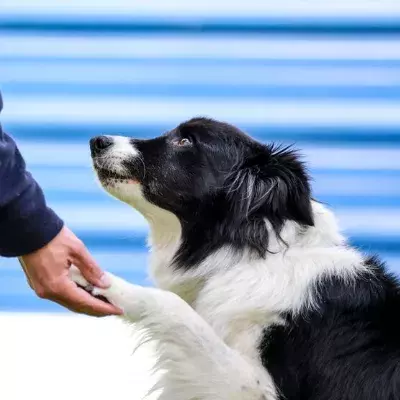 Search for news and stories