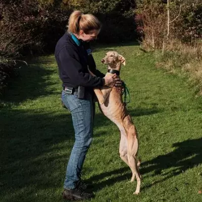 Search for news and stories