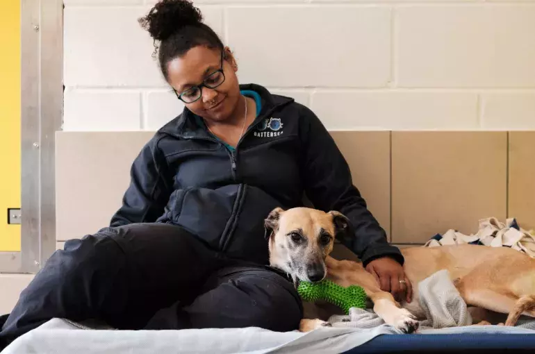 SLIDE - Sponsor a dog kennel or cat cabin