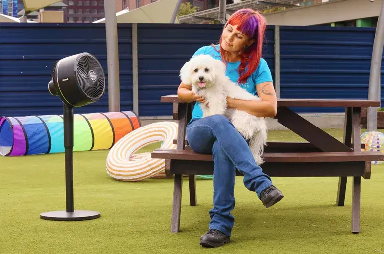 A person sitting on a bench with a dog