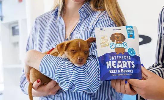 A sleeping puppy sleeping in the arms of a person next to a bag of treats