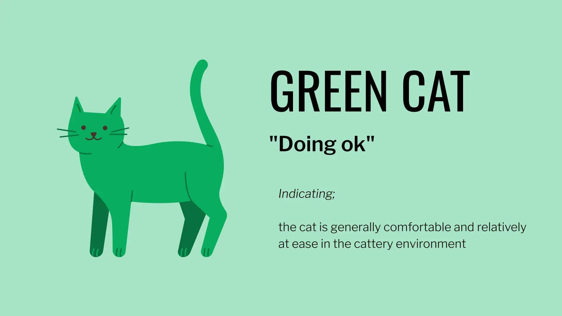 Green cat graphic