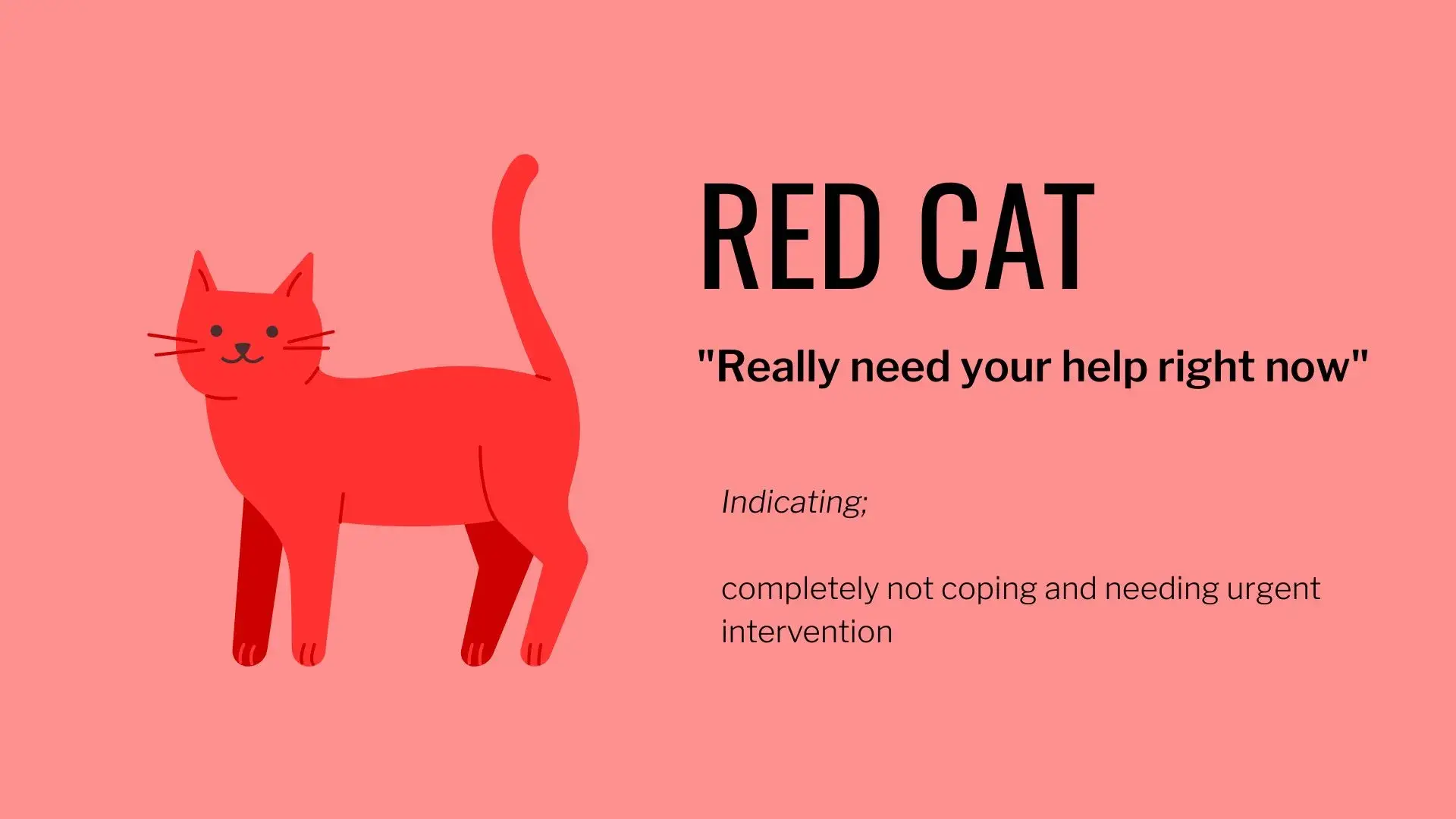 Red Cat Graphic