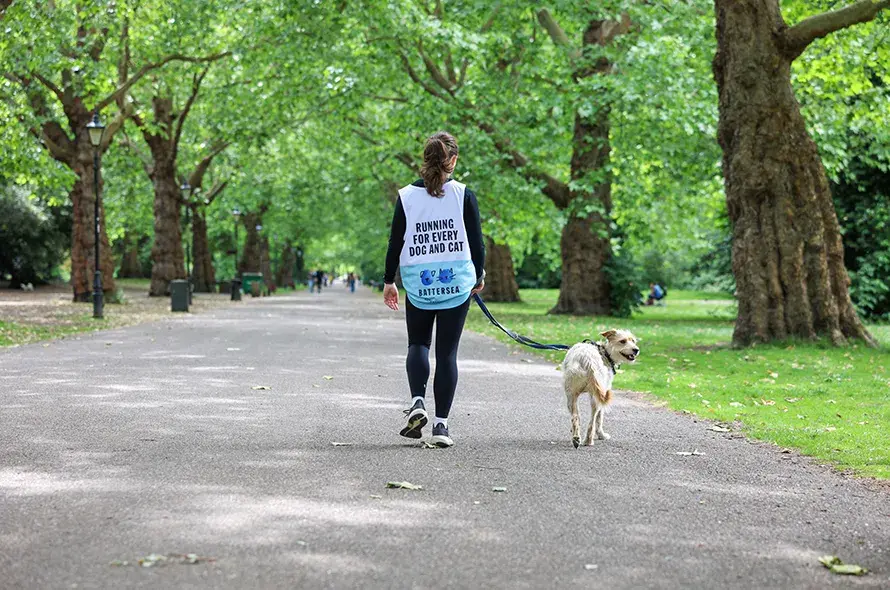 A person walking a dog in a park
