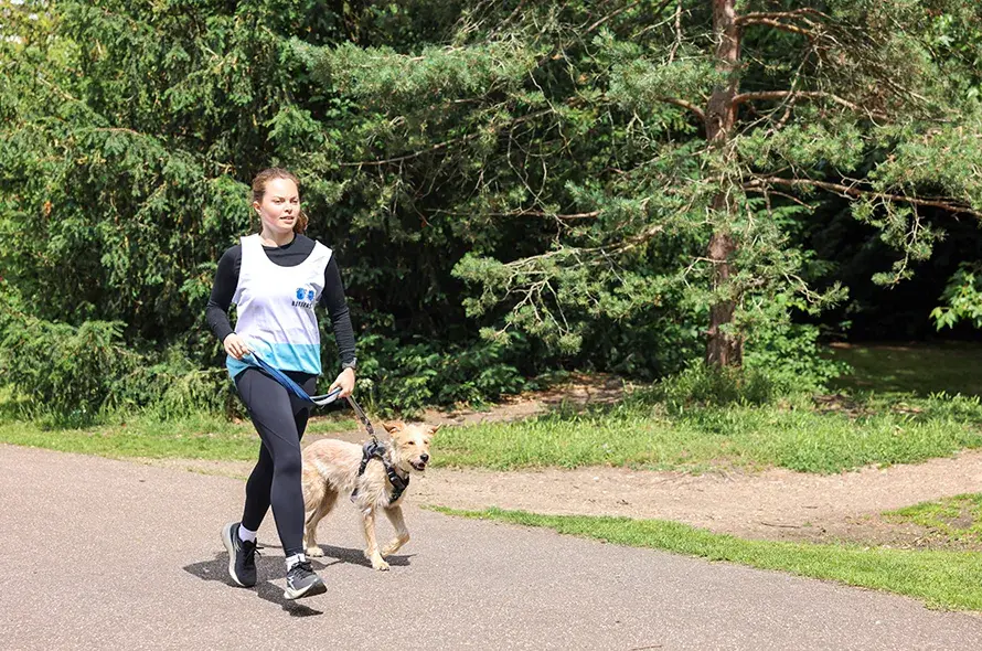 A woman running along side a dog