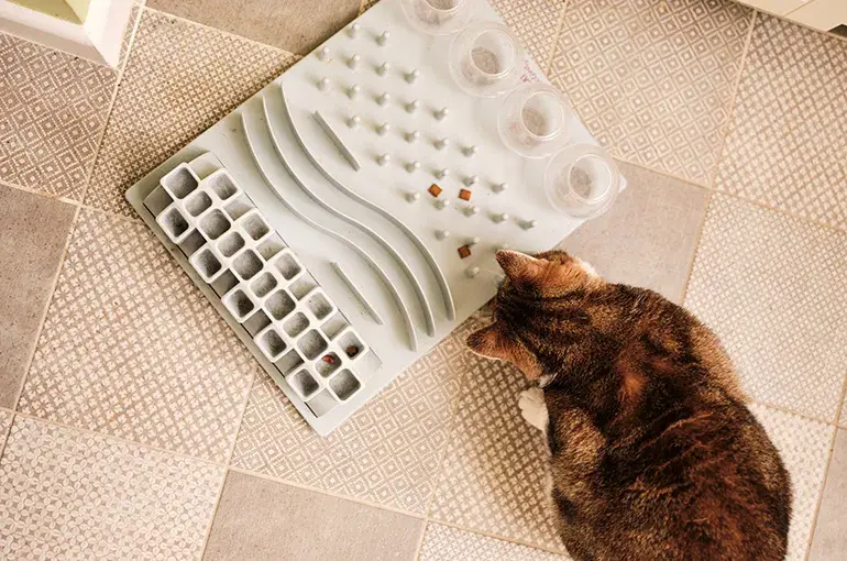 Ginger cat playing with snuffle mat
