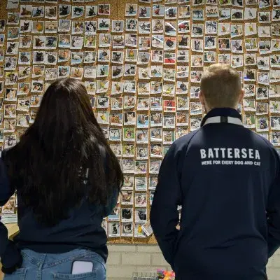 ROZE Foundation Netherlands