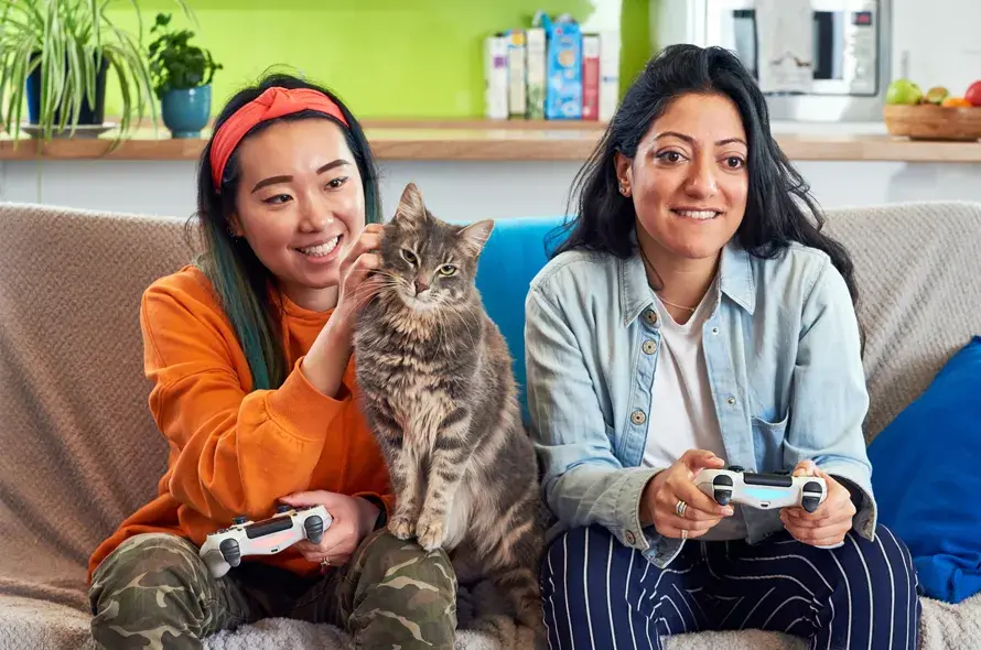 A couple sitting on a couch with a cat playing games