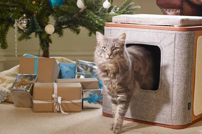 Cat standing with presents under a Christmas tree