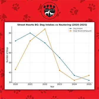 Street hearts BG dog intake vs neutering graph for 2020-2025 